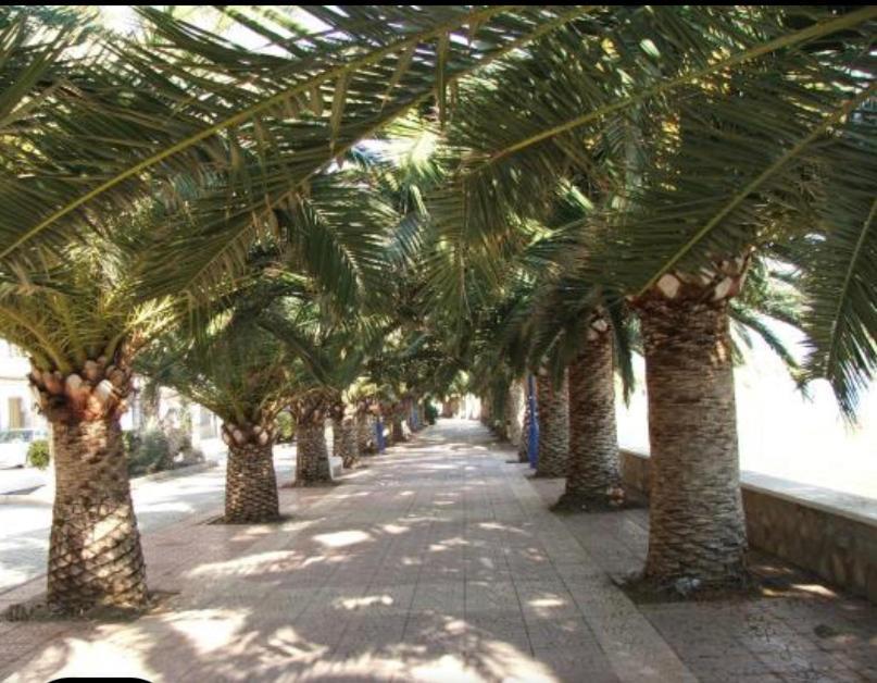 Vcc Home'S Puerto de Mazarron Ngoại thất bức ảnh